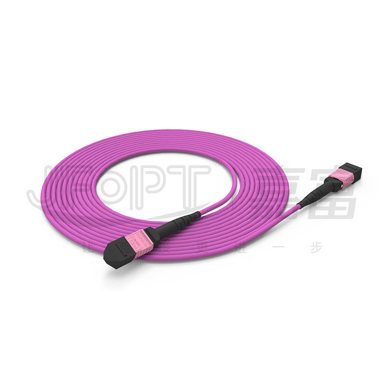 100G MTP প্যাচ কর্ড 24 কোর মাল্টিমোড OM4 50/125 LSZH 3.0-4.0 মিমি হিদার ভায়োলেট জাম্পার