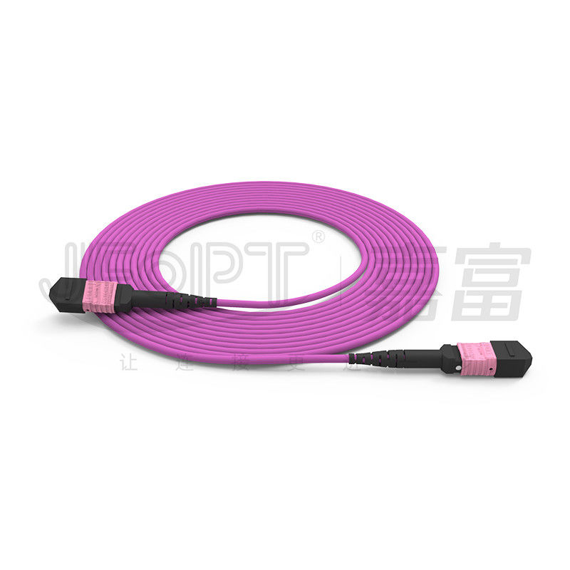 100G MTP প্যাচ কর্ড 24 কোর মাল্টিমোড OM4 50/125 LSZH 3.0-4.0 মিমি হিদার ভায়োলেট জাম্পার