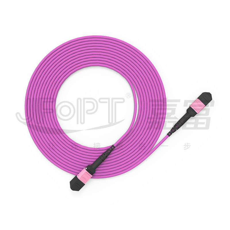 100G MTP প্যাচ কর্ড 24 কোর মাল্টিমোড OM4 50/125 LSZH 3.0-4.0 মিমি হিদার ভায়োলেট জাম্পার